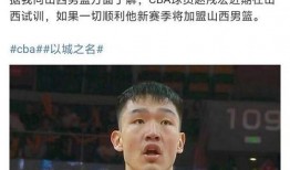 深圳男篮爆料新闻报道最新,最新爆料事件背后的真相与影响