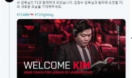 skt金晶洙最新爆料,SKT战队内部最新动态与未来战略