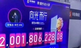 辛巴最新直播爆料,揭秘行业内幕，带你走进真实娱乐圈