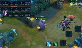 王者英雄爆料最新视频大全,视频大全揭秘神秘英雄技能与背景故事