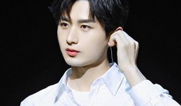 成毅最新消息爆料,揭秘明星背后的故事与成长历程