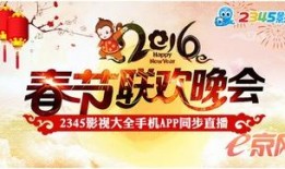 春节爆料视频大全最新,精彩瞬间回顾，年度盛宴精彩瞬间大放送