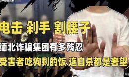 爆料缅北高清视频大全最新,最新高清视频大全深度解析