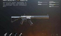 416枪皮最新爆料,神秘外观与独特性能，带你领略枪械之美