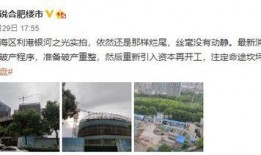 合肥楼市最新爆料,揭秘最新房价走势与热门项目盘点