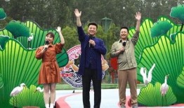 广西财神爆料最新消息视频,揭秘神秘视频背后的惊人真相！”