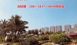 湛江富丽华最新爆料,揭秘项目背后的惊人真相