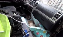 小七的房车最新爆料,揭秘神秘亮点与独特设计